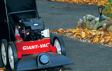 Consumer Lawn Vac
